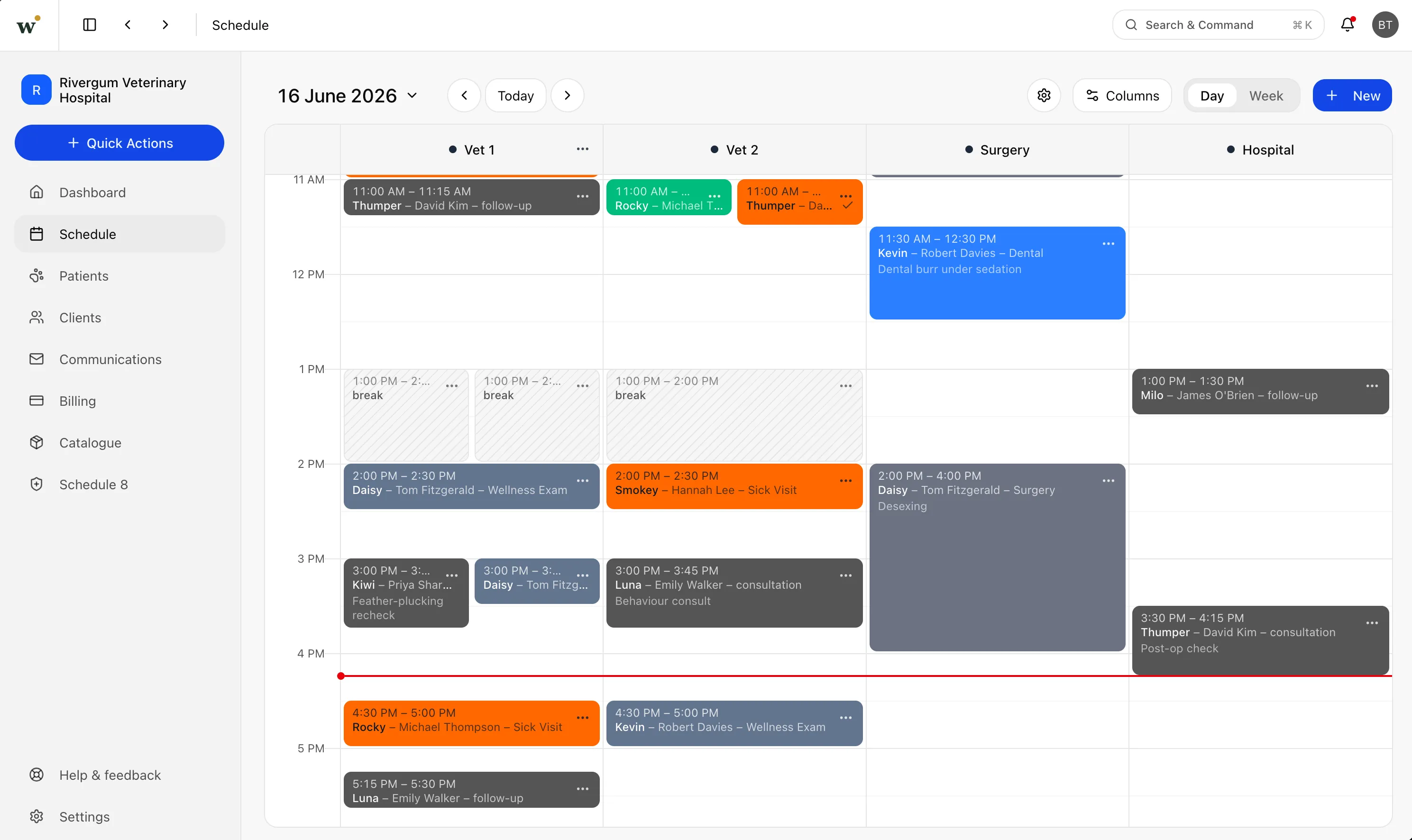 Wattle Clinic schedule — day view, a lane per vet
