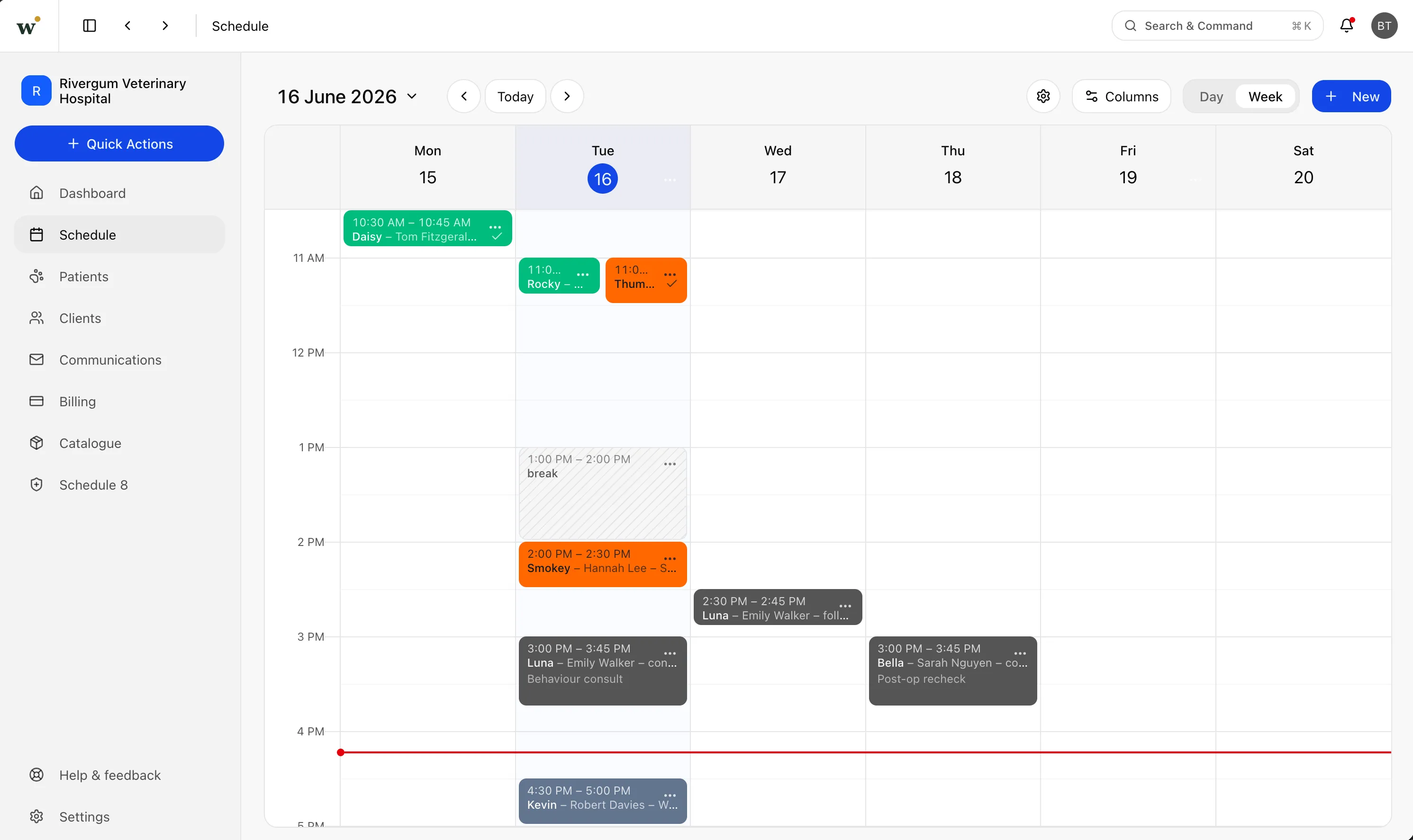 Wattle Clinic schedule — week view